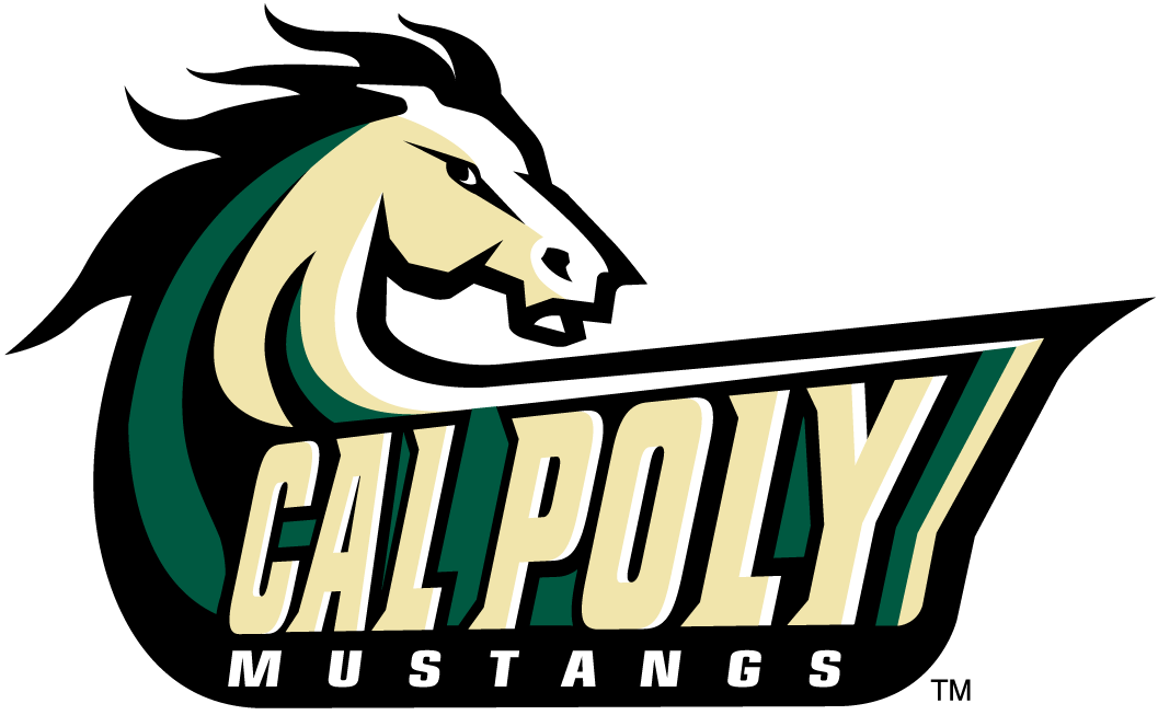 Cal Poly Mustangs 1999-Pres Alternate Logo v3 DIY iron on transfer (heat transfer)...
